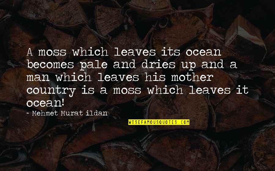 Dries Quotes By Mehmet Murat Ildan: A moss which leaves its ocean becomes pale Dries Quotes By Mehmet Murat Ildan: A moss which leaves its ocean becomes pale
