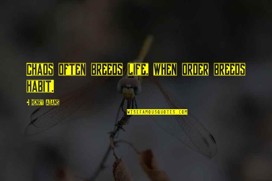 Driesen Quotes By Henry Adams: Chaos often breeds life, when order breeds habit. Driesen Quotes By Henry Adams: Chaos often breeds life, when order breeds habit.