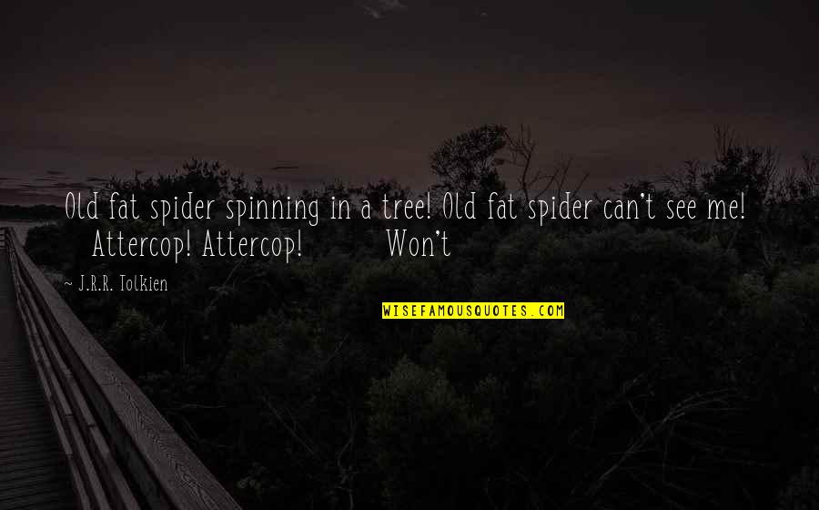 Drift Trike Quotes By J.R.R. Tolkien: Old fat spider spinning in a tree! Old