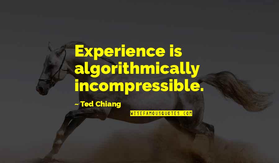 Drifting Friends Quotes By Ted Chiang: Experience is algorithmically incompressible.
