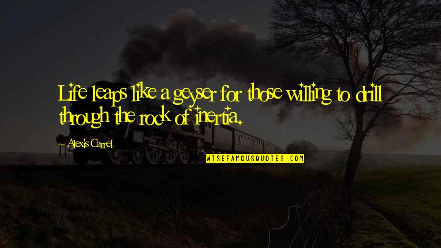 Drill'd Quotes By Alexis Carrel: Life leaps like a geyser for those willing