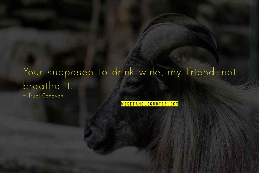 Drink Wine Quotes By Trudi Canavan: Your supposed to drink wine, my friend, not