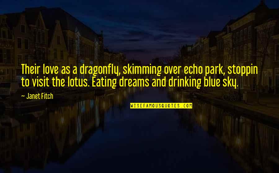 Drinking And Love Quotes By Janet Fitch: Their love as a dragonfly, skimming over echo