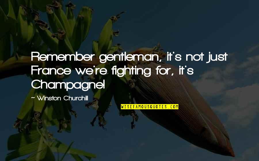 Drinking Champagne Quotes By Winston Churchill: Remember gentleman, it's not just France we're fighting