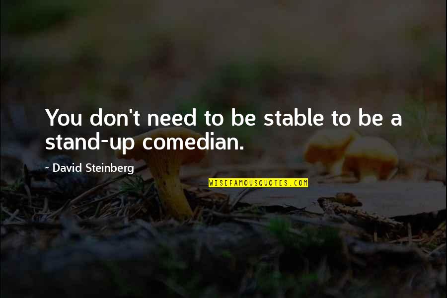 Drinking From Country Songs Quotes By David Steinberg: You don't need to be stable to be Drinking From Country Songs Quotes By David Steinberg: You don't need to be stable to be