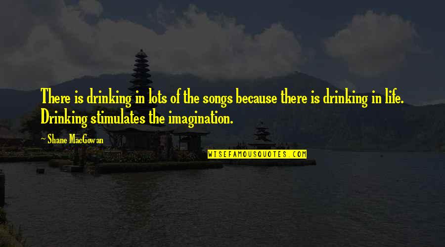 Drinking From Songs Quotes By Shane MacGowan: There is drinking in lots of the songs