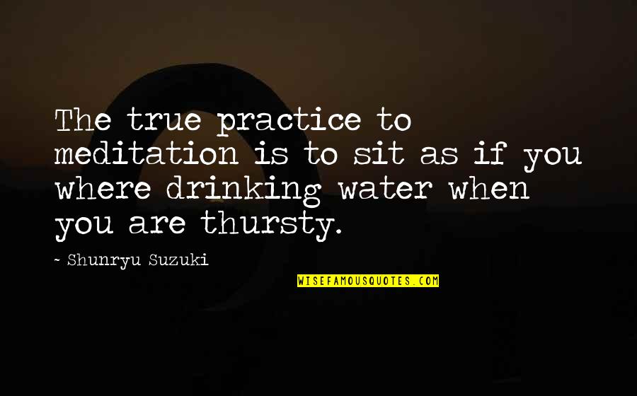 Drinking More Water Quotes By Shunryu Suzuki: The true practice to meditation is to sit