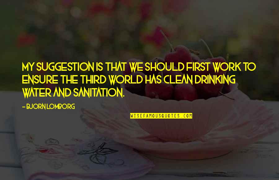 Drinking Water And Sanitation Quotes By Bjorn Lomborg: My suggestion is that we should first work Drinking Water And Sanitation Quotes By Bjorn Lomborg: My suggestion is that we should first work