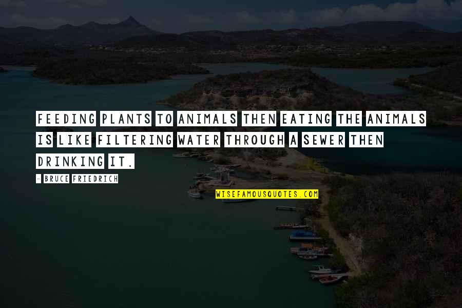 Drinking Water Quotes By Bruce Friedrich: Feeding plants to animals then eating the animals