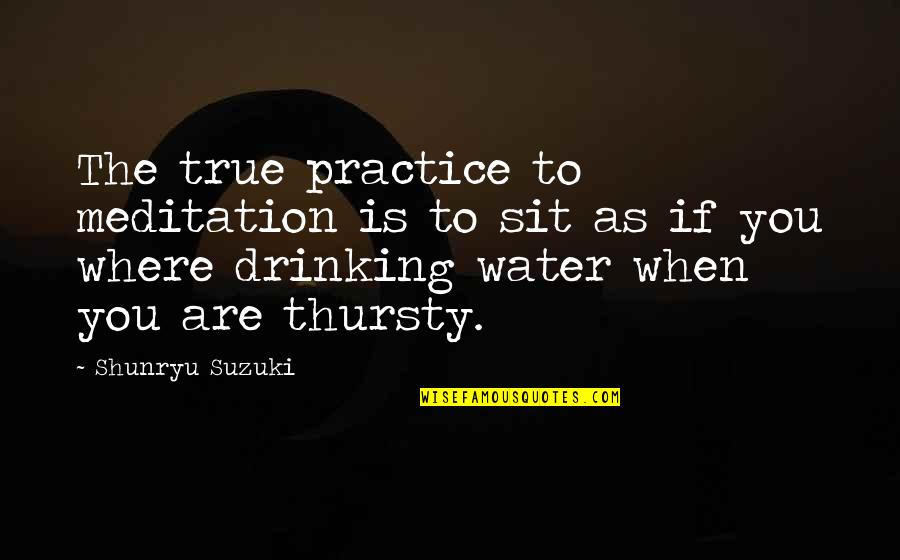 Drinking Water Quotes By Shunryu Suzuki: The true practice to meditation is to sit