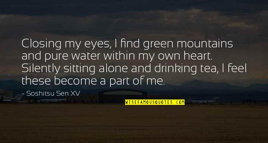 Drinking Water Quotes By Soshitsu Sen XV: Closing my eyes, I find green mountains and