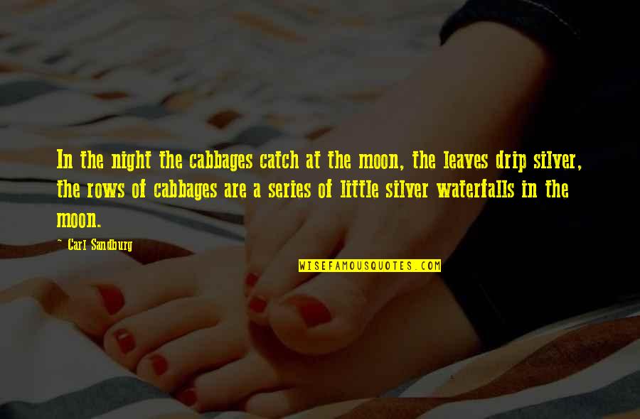 Drip Quotes By Carl Sandburg: In the night the cabbages catch at the
