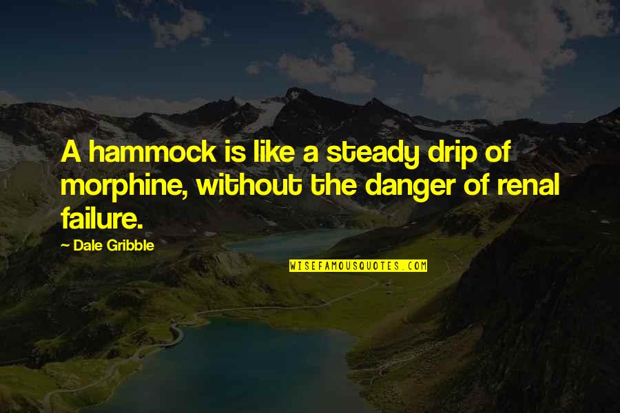 Drip Quotes By Dale Gribble: A hammock is like a steady drip of