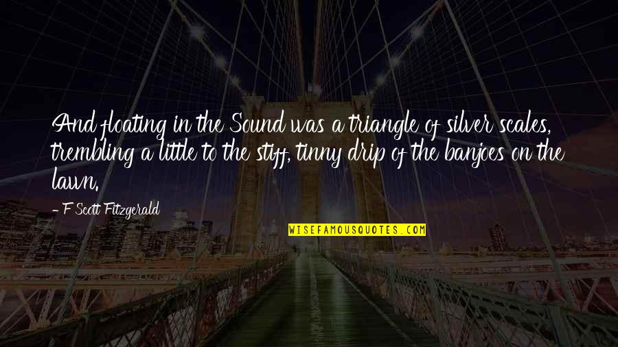 Drip Quotes By F Scott Fitzgerald: And floating in the Sound was a triangle