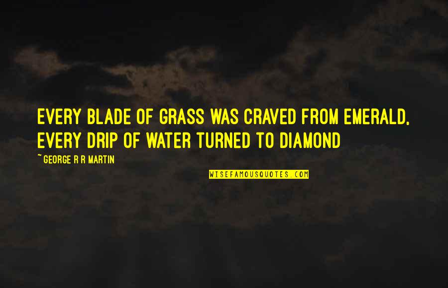Drip Quotes By George R R Martin: Every blade of grass was craved from emerald,