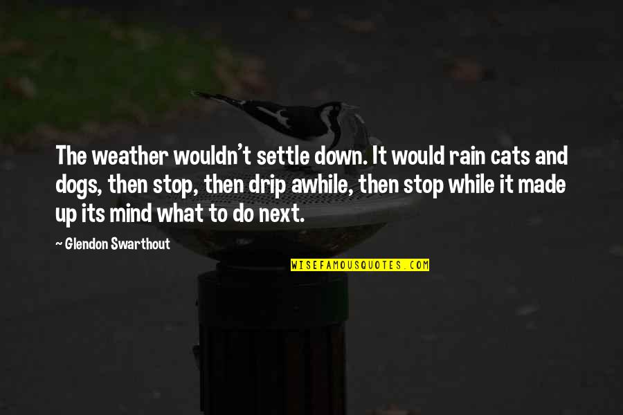 Drip Quotes By Glendon Swarthout: The weather wouldn't settle down. It would rain