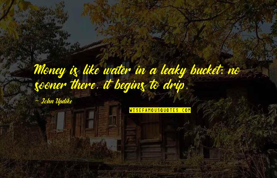 Drip Quotes By John Updike: Money is like water in a leaky bucket: