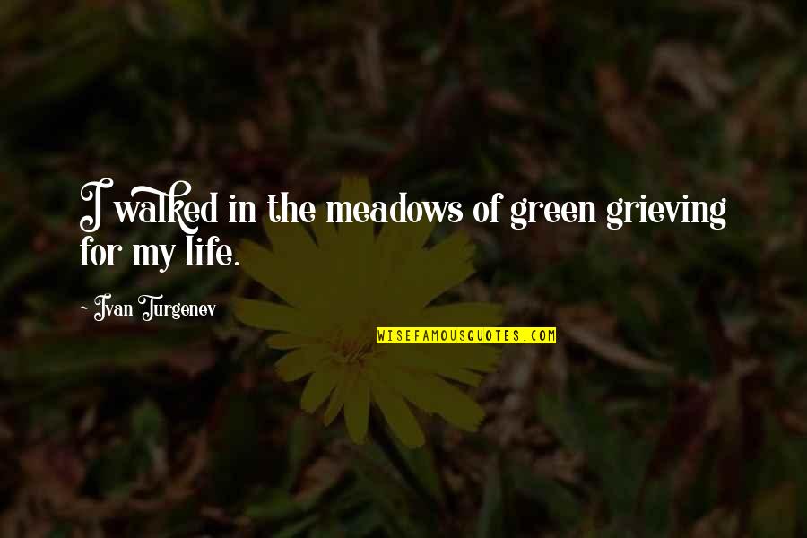 Drita D Avanzo Funny Quotes By Ivan Turgenev: I walked in the meadows of green grieving
