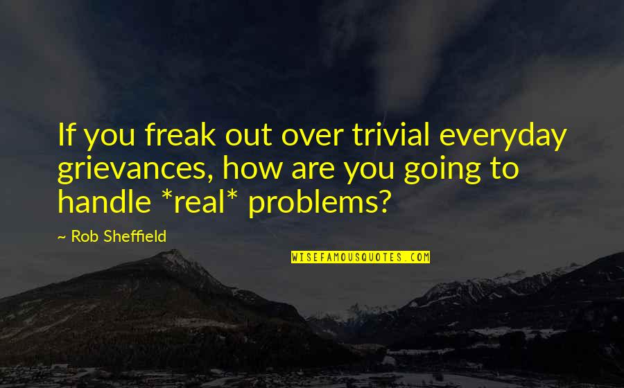 Drits Dvanzo Quotes By Rob Sheffield: If you freak out over trivial everyday grievances,