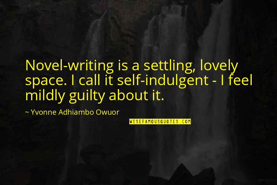 Drittes Konzert Quotes By Yvonne Adhiambo Owuor: Novel-writing is a settling, lovely space. I call