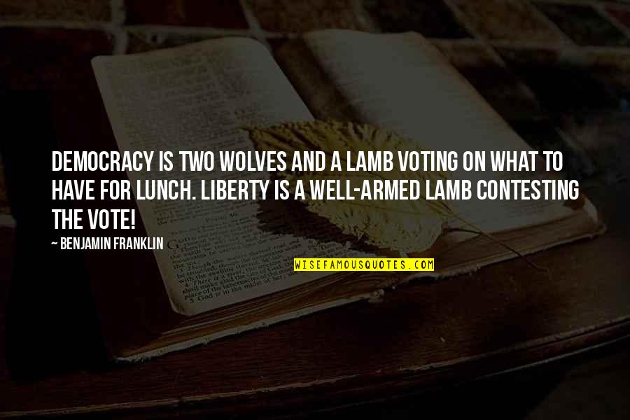 Drive Hard Work Quotes By Benjamin Franklin: Democracy is two wolves and a lamb voting