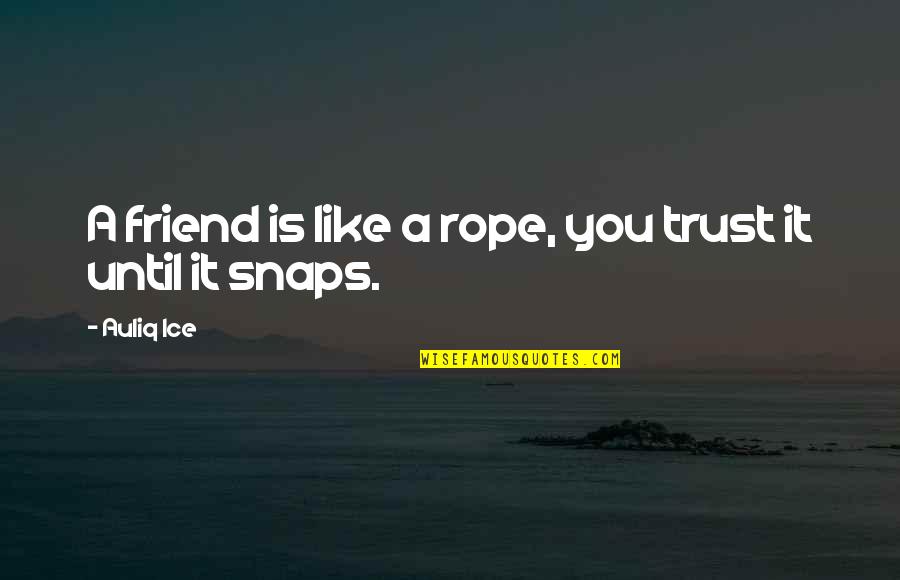 Drive Irene Quotes By Auliq Ice: A friend is like a rope, you trust