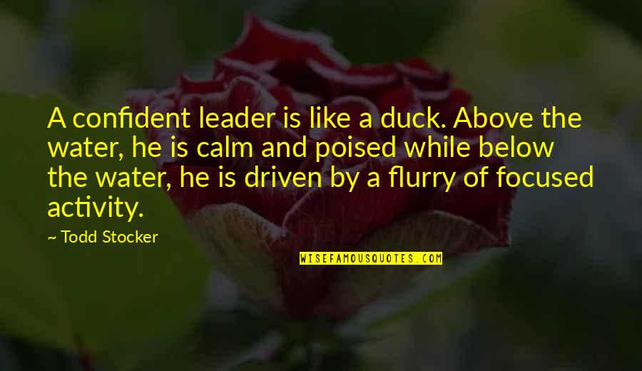 Driven Motivational Quotes By Todd Stocker: A confident leader is like a duck. Above