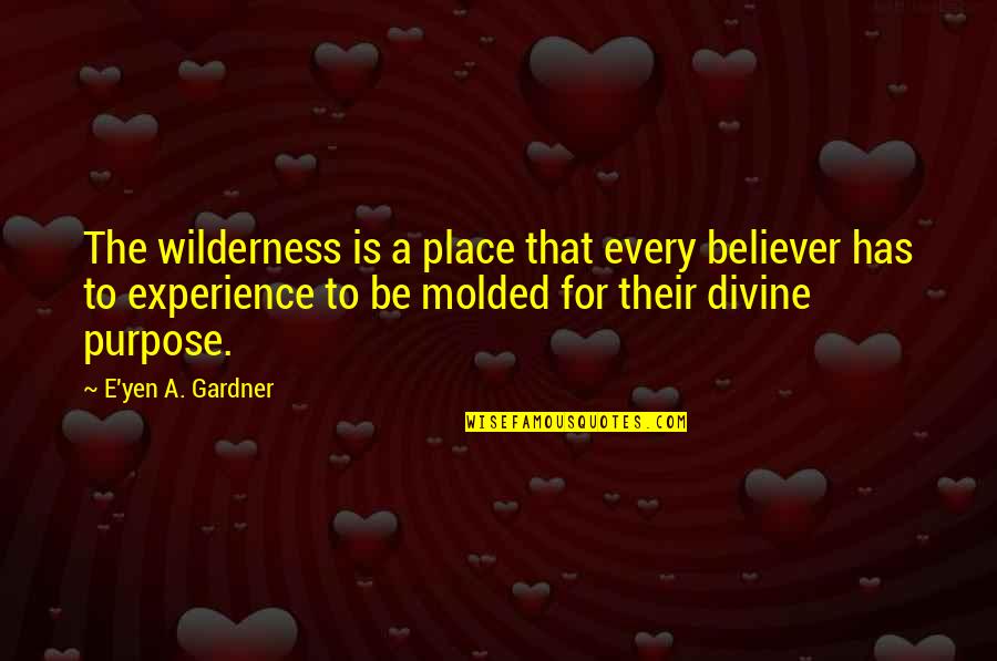 Driving Cross Country Quotes By E'yen A. Gardner: The wilderness is a place that every believer