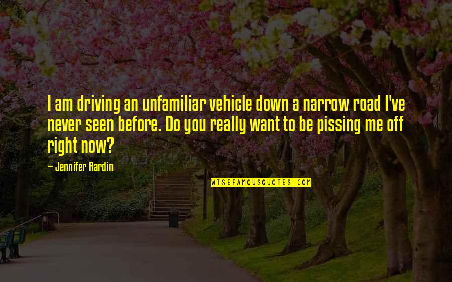 Driving Down The Road Quotes By Jennifer Rardin: I am driving an unfamiliar vehicle down a