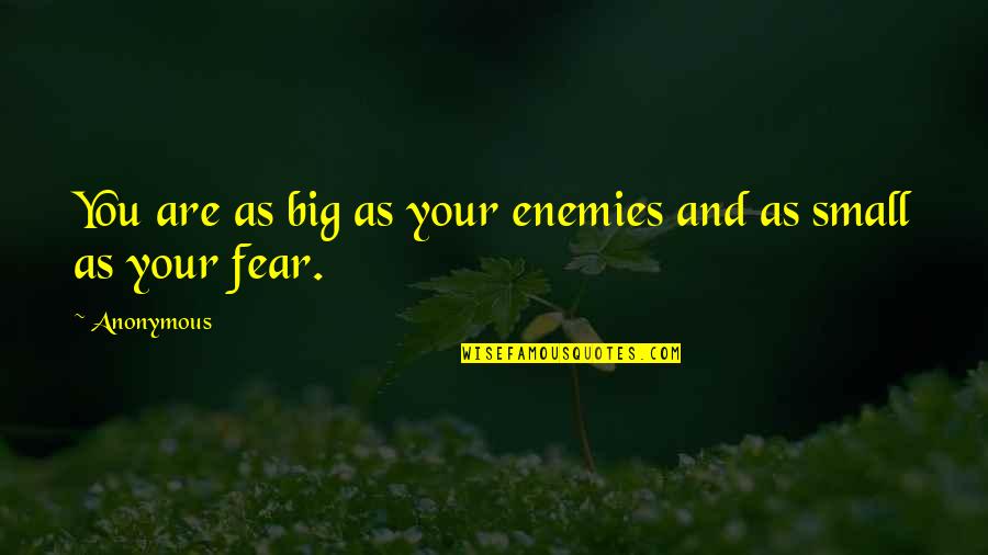 Driving Peace Quotes By Anonymous: You are as big as your enemies and