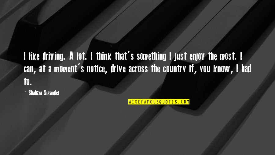 Driving's Quotes By Shahzia Sikander: I like driving. A lot. I think that's Driving's Quotes By Shahzia Sikander: I like driving. A lot. I think that's