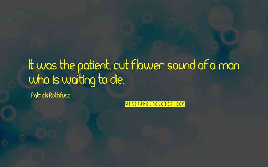 Drizzard Quotes By Patrick Rothfuss: It was the patient, cut-flower sound of a