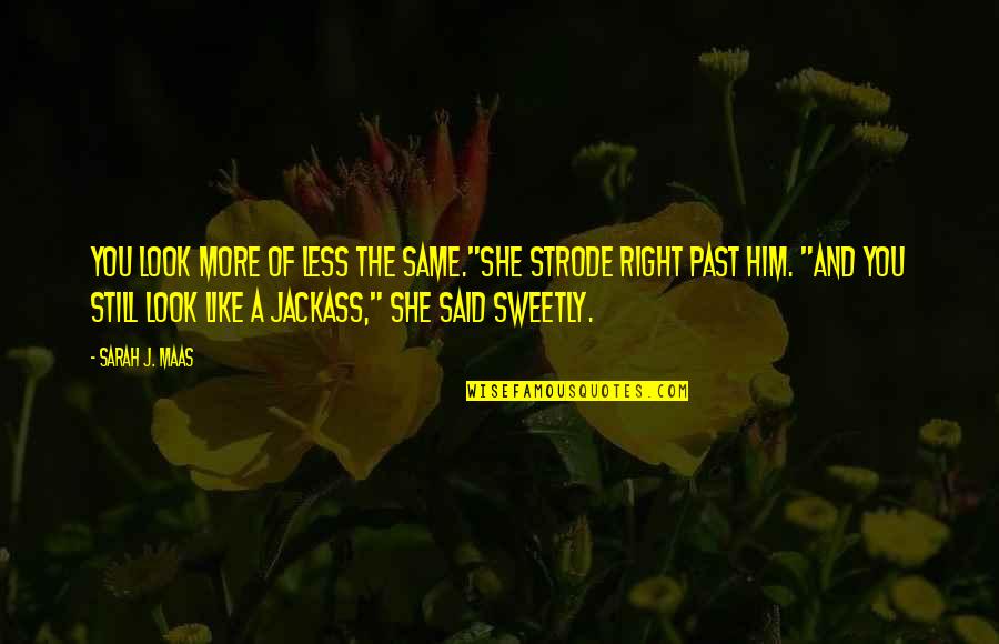 Drogos Ember Quotes By Sarah J. Maas: You look more of less the same."She strode
