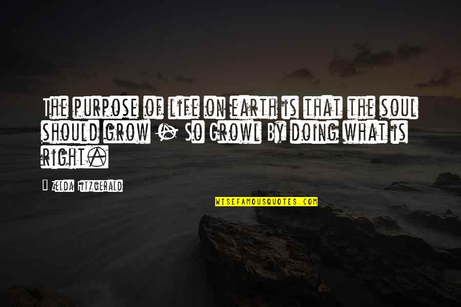Drogoszandrea Quotes By Zelda Fitzgerald: The purpose of life on earth is that