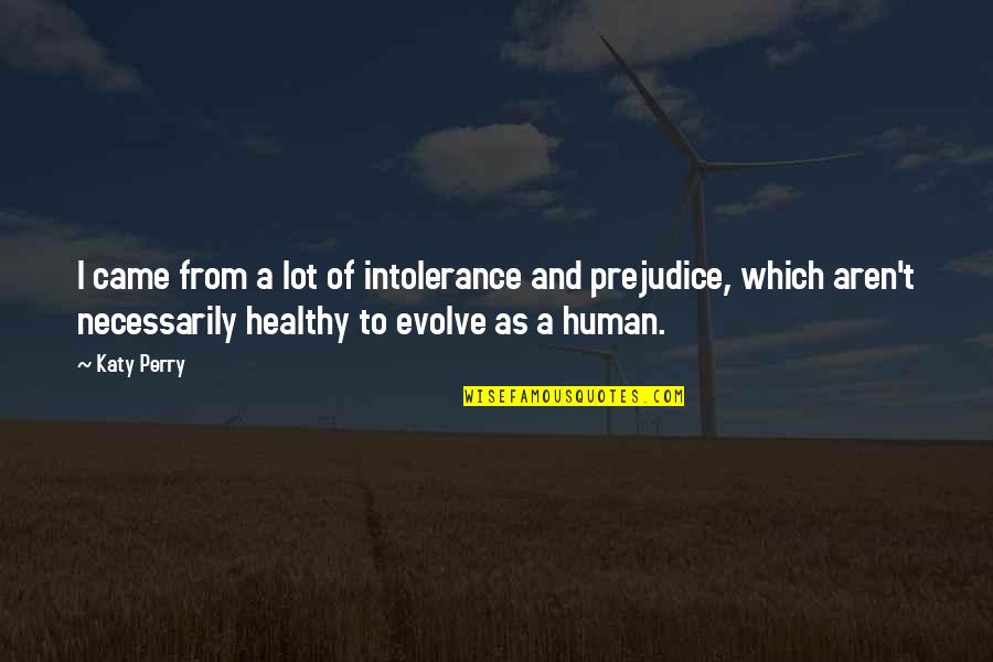 Droguett Cat Quotes By Katy Perry: I came from a lot of intolerance and