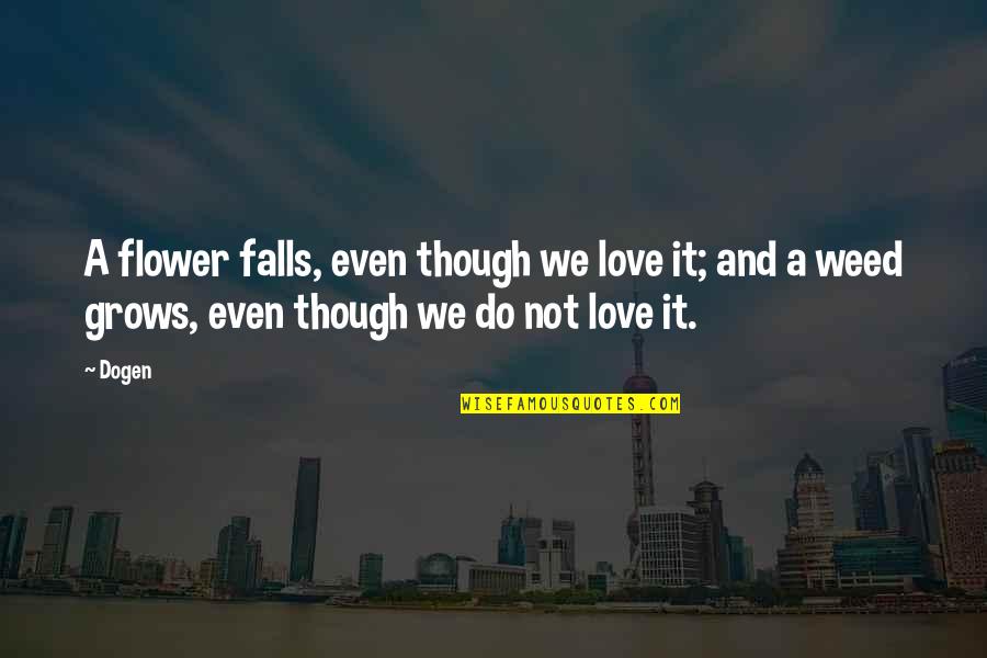 Droguri Referat Quotes By Dogen: A flower falls, even though we love it;