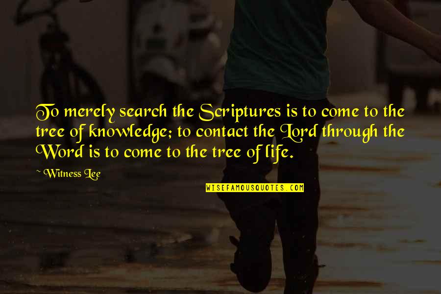 Drohendes Quotes By Witness Lee: To merely search the Scriptures is to come