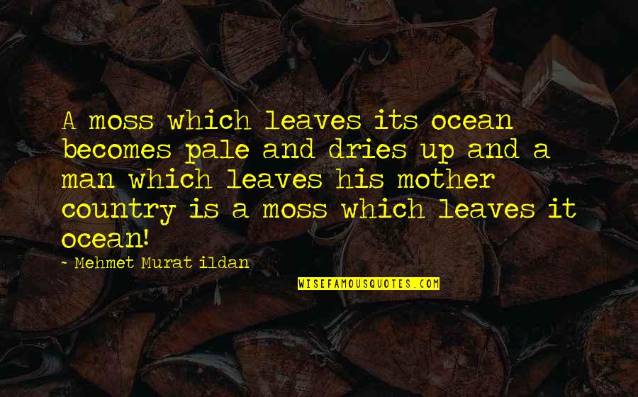 Droits Quotes By Mehmet Murat Ildan: A moss which leaves its ocean becomes pale Droits Quotes By Mehmet Murat Ildan: A moss which leaves its ocean becomes pale