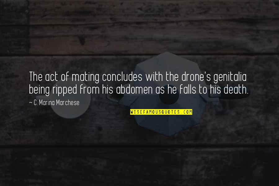 Drone Quotes By C. Marina Marchese: The act of mating concludes with the drone's Drone Quotes By C. Marina Marchese: The act of mating concludes with the drone's