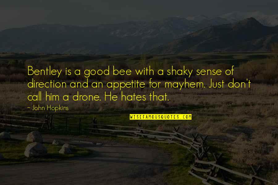 Drone Quotes By John Hopkins: Bentley is a good bee with a shaky