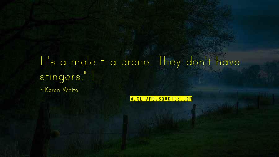 Drone Quotes By Karen White: It's a male - a drone. They don't