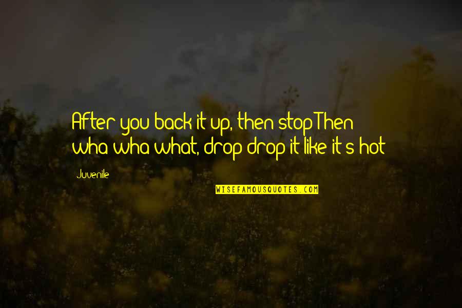 Drop It Like Quotes By Juvenile: After you back it up, then stop;Then wha-wha-what,