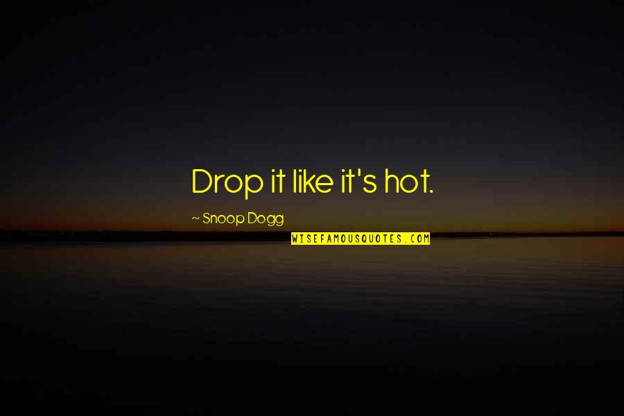 Drop It Like Quotes By Snoop Dogg: Drop it like it's hot.