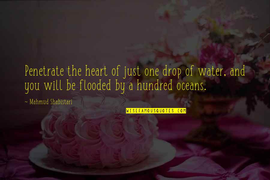 Drop Of Water Quotes By Mahmud Shabistari: Penetrate the heart of just one drop of