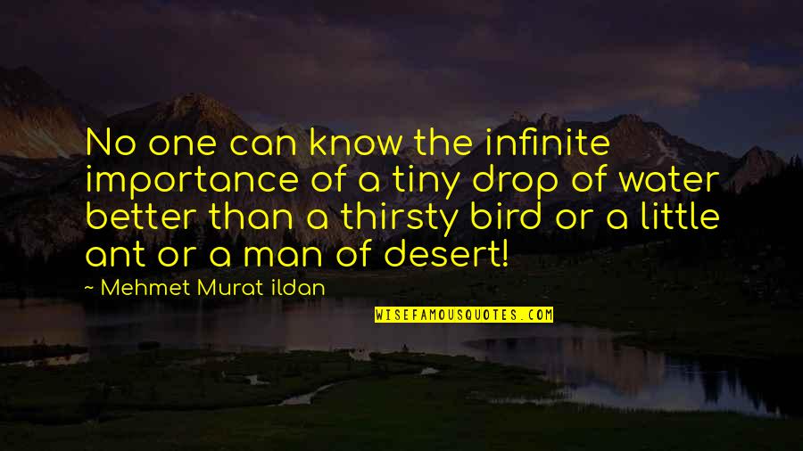 Drop Of Water Quotes By Mehmet Murat Ildan: No one can know the infinite importance of