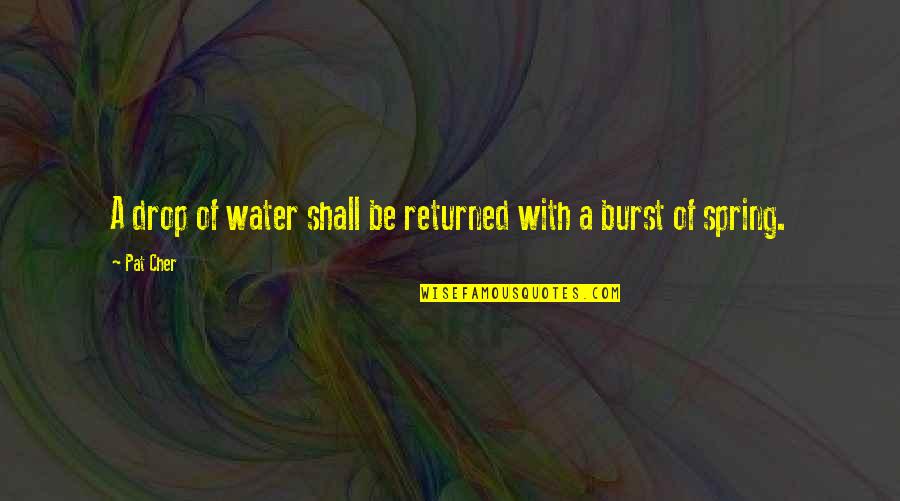 Drop Of Water Quotes By Pat Cher: A drop of water shall be returned with