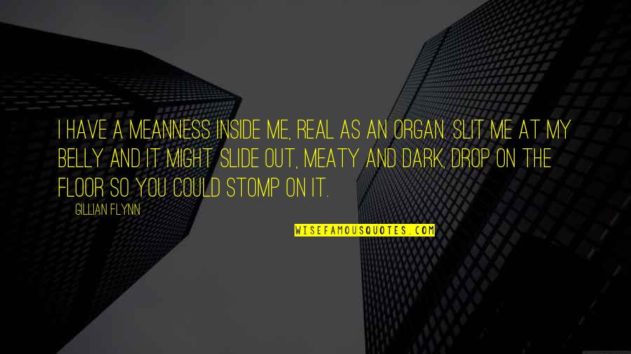 Drop Out Quotes By Gillian Flynn: I have a meanness inside me, real as