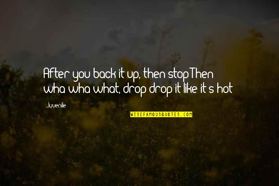 Drop You Like Quotes By Juvenile: After you back it up, then stop;Then wha-wha-what,