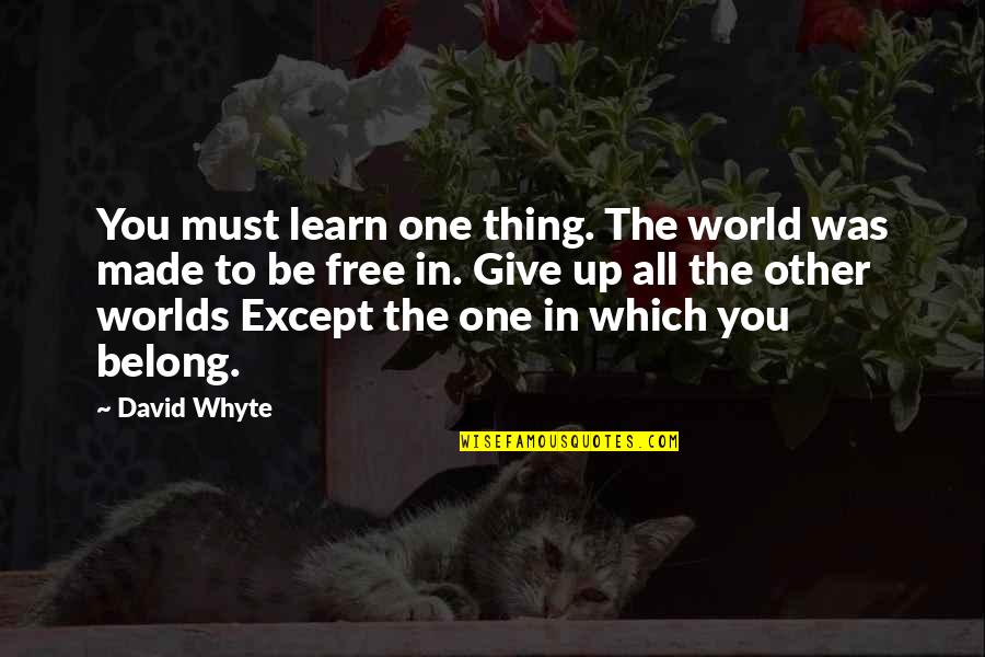 Droplet Quotes By David Whyte: You must learn one thing. The world was