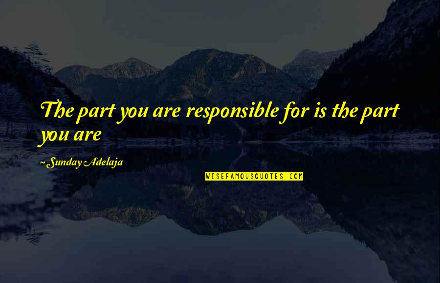 Drops Of Water Quotes By Sunday Adelaja: The part you are responsible for is the